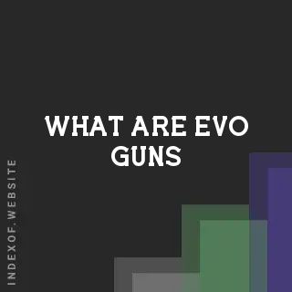 What are “Evo Guns“? Banners